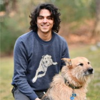 Broadleaf Services Employee Nitesh Misra's profile photo