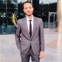 ABE Employee Mohamed Amer's profile photo