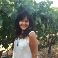 Owl biomedical, Inc. Employee Brenda Altavilla's profile photo
