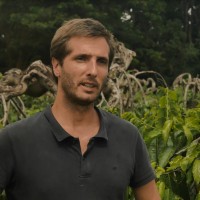 LMR Naturals by IFF Employee Stephane Rey's profile photo