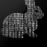 Scala Employee Fabio Ferro's profile photo