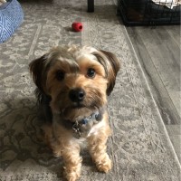 PB Fasteners Employee Hernan Umana's profile photo