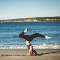 PROLIGHTING Employee Pro Lifestyleo's profile photo