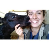 BEDSON Employee Vanesa Castro's profile photo