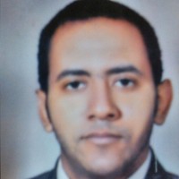 Interpharm Employee Mahmoud Youssef's profile photo