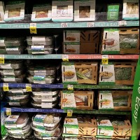 Home Chef Employee Tom Koch's profile photo