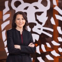 ING Türkiye Employee Cigdem Carino's profile photo