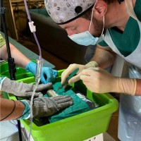 Arkansas Game and Fish Commission Employee Robert Edwards's profile photo