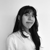 International Institute of Minnesota Employee Jacy Landi's profile photo