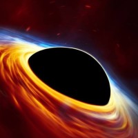 Mike Eriksen's profile photo
