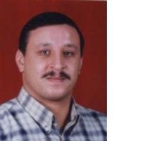Hesham Refaat Email