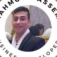 BURG Translations, Inc. Employee Mahmoud Assem's profile photo