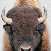 Mesa Natural Gas Solutions Employee Fred Fichtner's profile photo