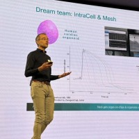 Jannis Meents Email & Phone Number