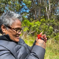 Kekuhi Kealiikanakaole