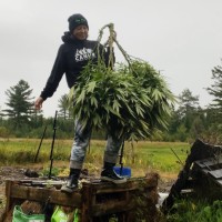 Mera Cannabis Corp. Employee Genevieve Newton's profile photo