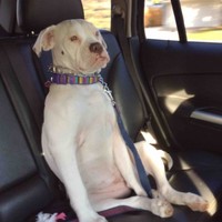 Quality Family Services Employee Gregory Johnson's profile photo