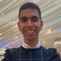 Ahmed Alaaeldin Email