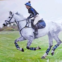The Winterbrook Group Employee Stacey Stephenson's profile photo
