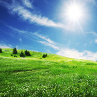 Youngstown State University Employee Eric Gallon's profile photo