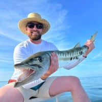 BREEO Employee Josh Ulrich's profile photo