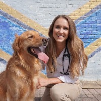 University Veterinary Hospital Employee Megan Ricord's profile photo