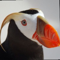 Liteline Corporation Employee Robert Hicks's profile photo