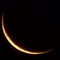 BELL Architecture Pty Ltd Employee Rawshan Farooque's profile photo