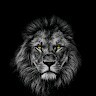 Brainworks Employee Kevin Otieno's profile photo