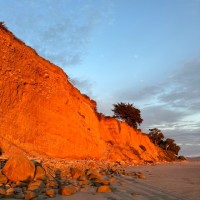 Koji Productions Employee Mike MacAri's profile photo