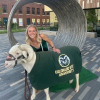 Colorado State University | College of Natural Sciences Employee Carolyn Hove's profile photo