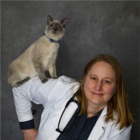 Caring Hands Animal Hospital Employee Heather S.'s profile photo