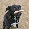 Binghamton University Employee Paul Deeley's profile photo