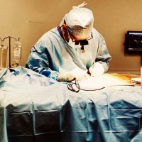 VETERINARY SPECIALIST SERVICES LIMITED Employee Nick Grapes's profile photo