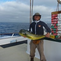 Sun Mart Intl Co., Ltd. Employee Nick Wu's profile photo