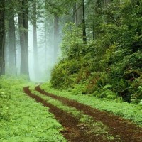 Bioventix Employee K. Alkhoder's profile photo