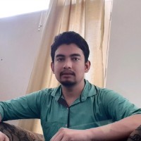 Synchro Electronics Employee Debapriya Nayek's profile photo