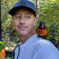 David Corsino Email & Phone Number