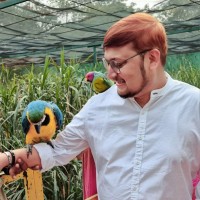Sutherland Healthcare Solutions Employee Mohammad Juned's profile photo
