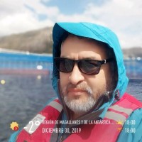 Blumar USA Employee Pedro Flores's profile photo