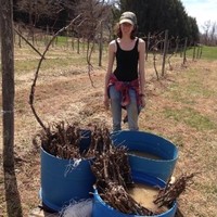 Shacksbury Employee Marta Piotrowicz's profile photo