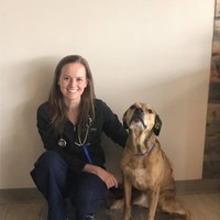 Vet Partners Pet Hospital Employee Melissa Lee's profile photo