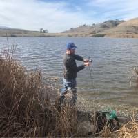 Prashanth Honnavalli Email & Phone Number | LiveHive, Inc VP ...