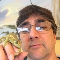 Lawrence Post Email & Phone Number