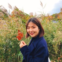 Cogita Education Initiatives Employee Wei Qi's profile photo