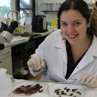 CSIRO Publishing Employee Narelle Dybing's profile photo