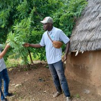 Mother Trees Employee Issa Ndoye's profile photo