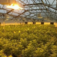 Schweitzer Engineering Laboratories (SEL) Employee Ed Magotch's profile photo