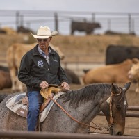 Tom Noffsinger Email & Phone Number