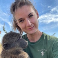 Futureproofed – part of Sweco Employee Vere Leybaert's profile photo